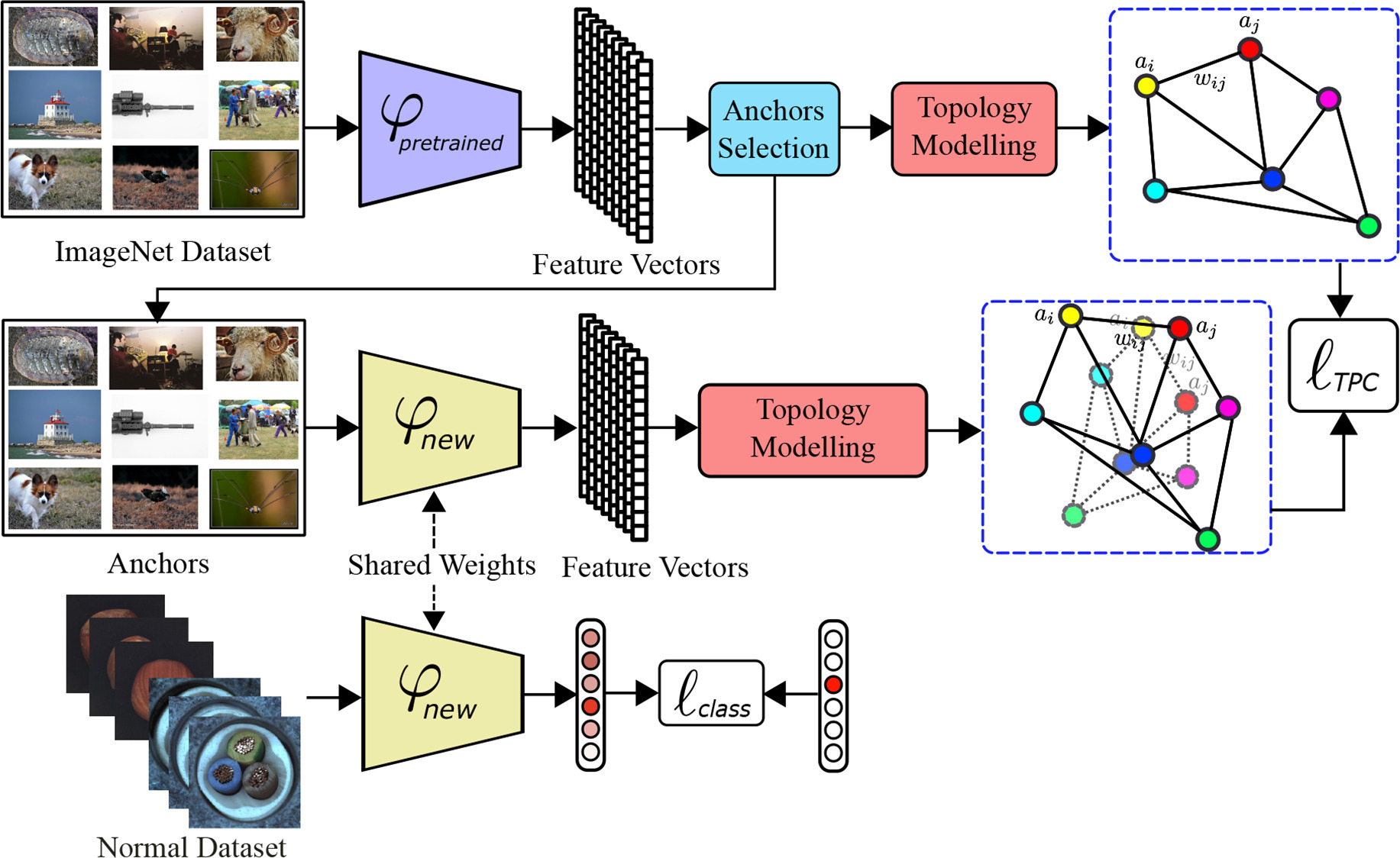 Topology-preserving transfer learning framework with anchor selection and topology modelling (Fig. 2)